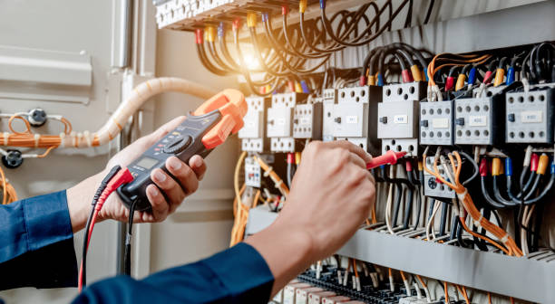 Best Electric Panel Repair  in Shady Side, MD